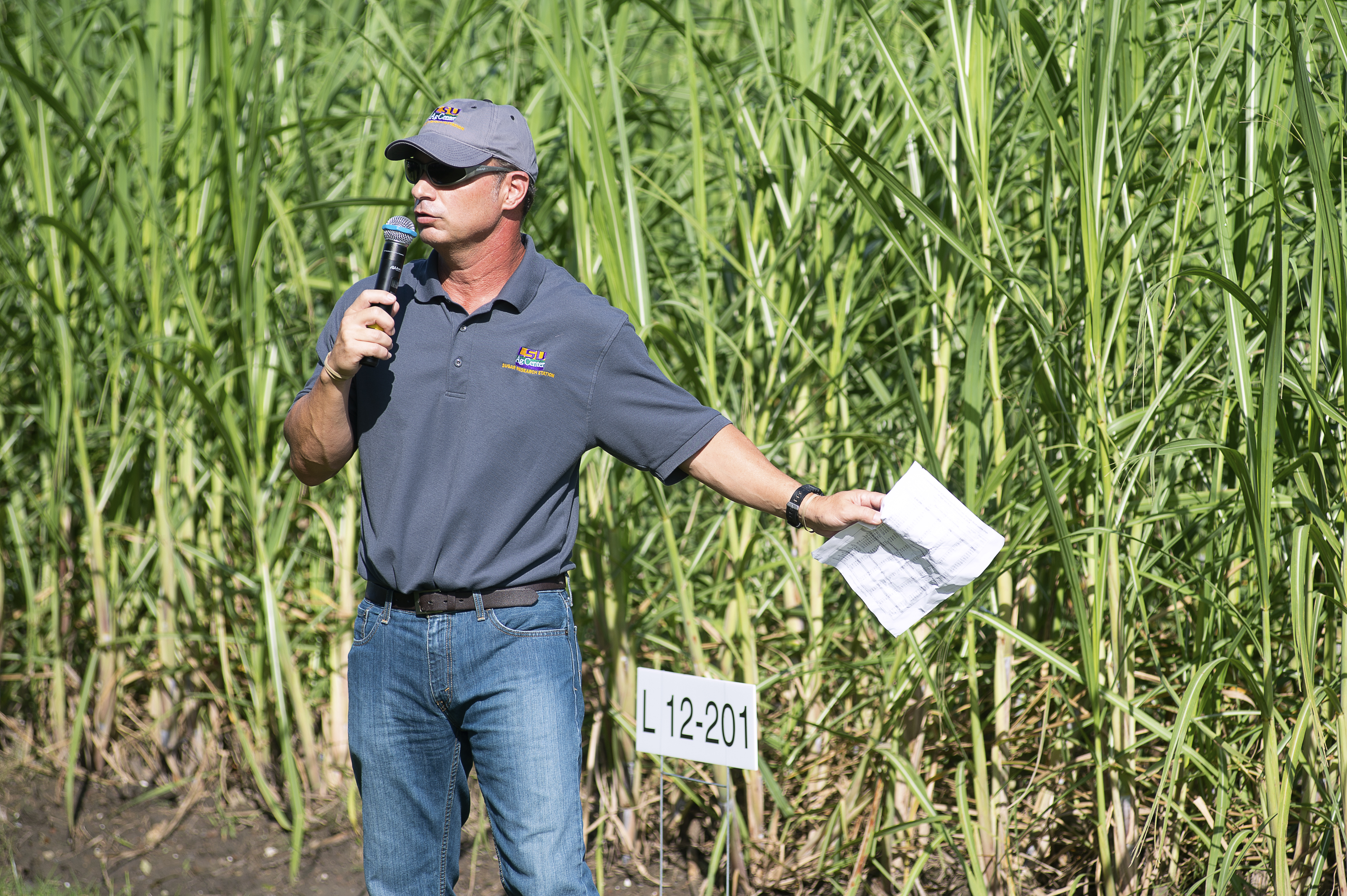 Louisiana sugarcane crop poised for good harvest despite Hurricane Barry 